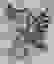 item-43146251=3