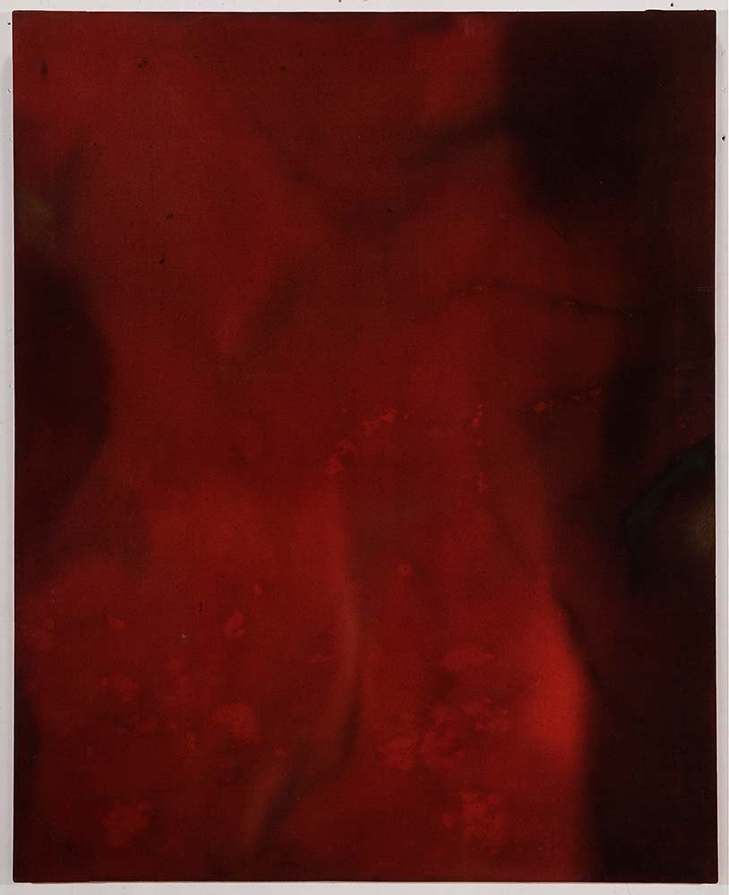 Willem De Looper (1 of 4)