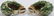 David Webb 18 Karat Gold Ear Clips - 3