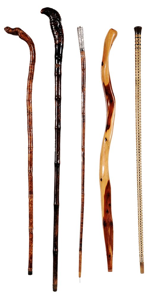 Five Canes and Walking Sticks, (1 of 7)