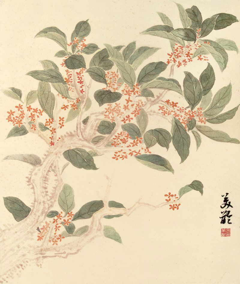 JIANGSONG MEILING, FLOWERS (1 of 1)