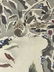 Chinese Silk Birds&Flowers Scroll Painting - 4