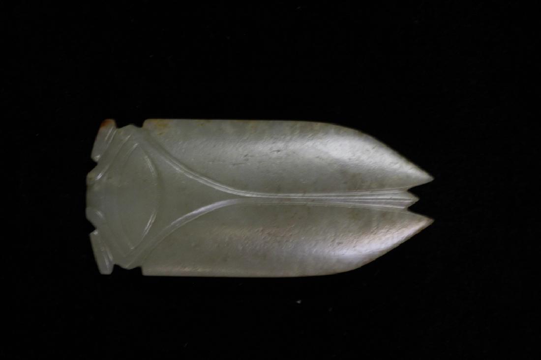 Chinese Jade Cicada (1 of 4)
