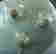 item-44859967=7