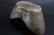 A Chinese Estate Fortune Money Brick Display - 4