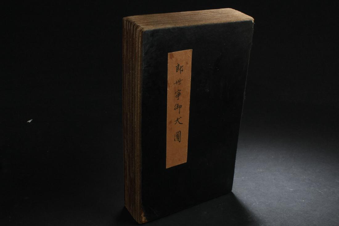 A Chinese Dog-portrait  F ortune Book Display (1 of 7)