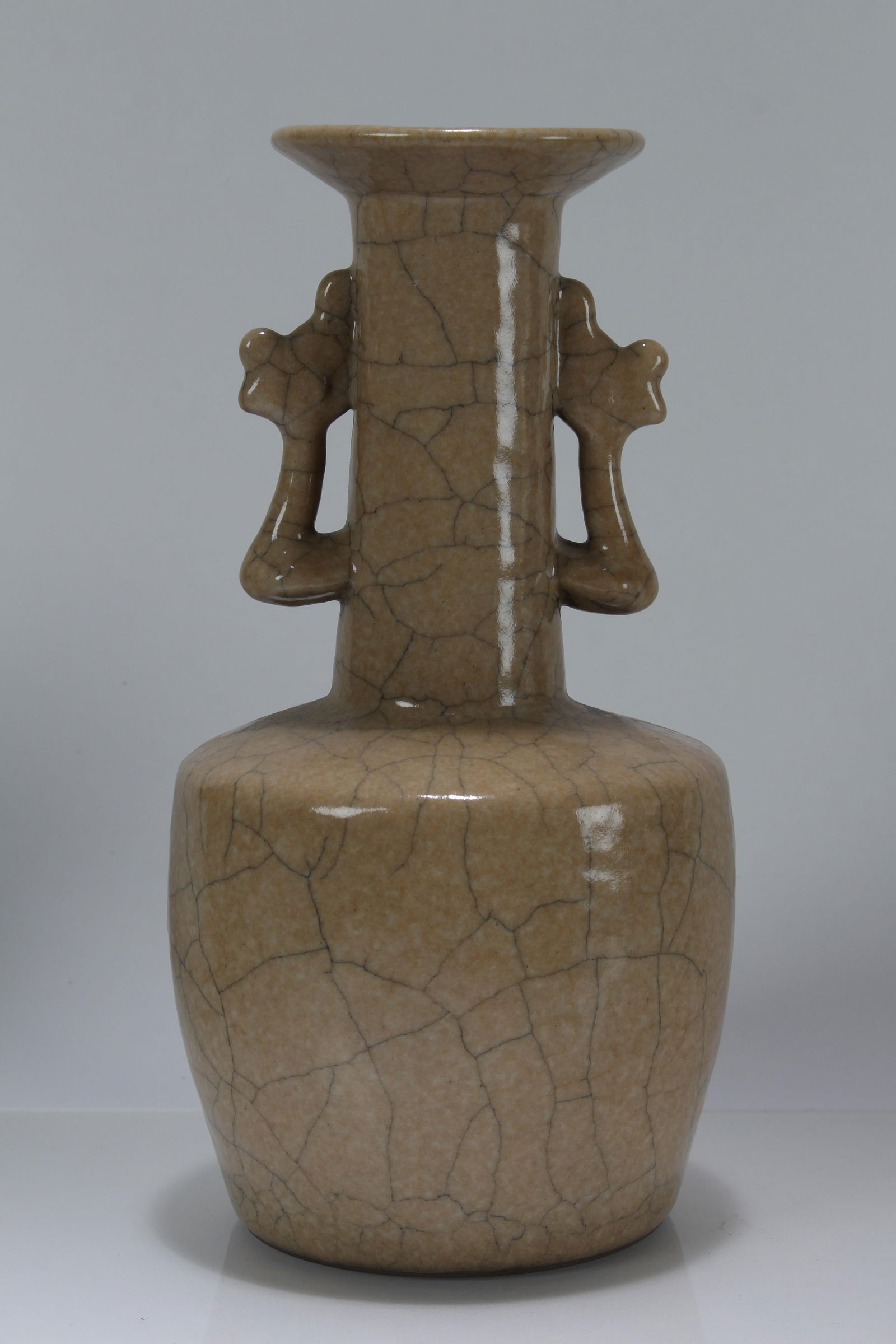 A Chinese Duo-handling Porcelain Cracked-Fortune Vase (1 of 5)