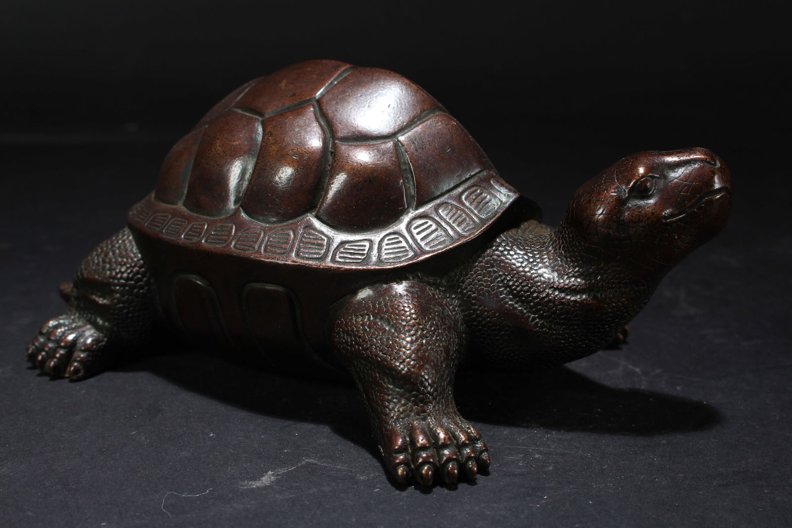 A Chinese Fortune Turtle Statue - 2