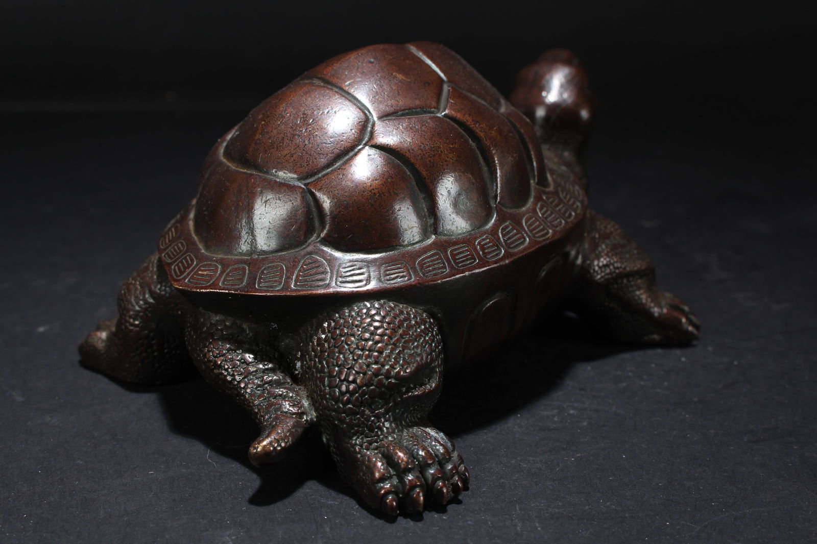 A Chinese Fortune Turtle Statue - 3