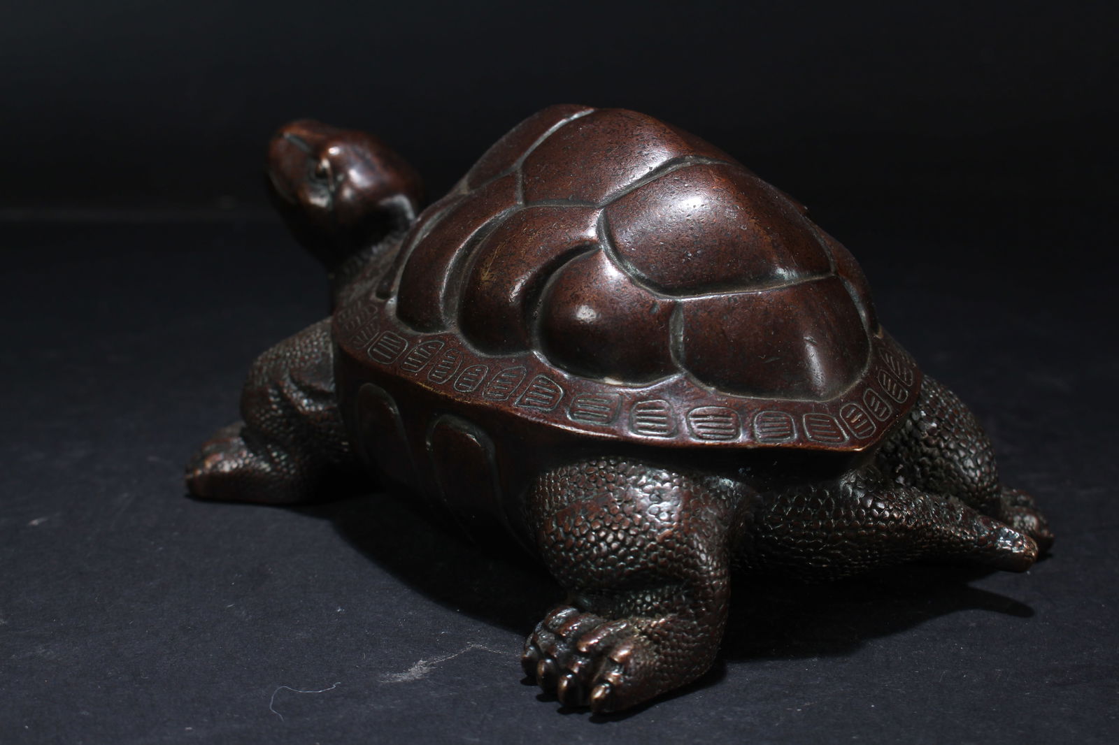 A Chinese Fortune Turtle Statue - 4