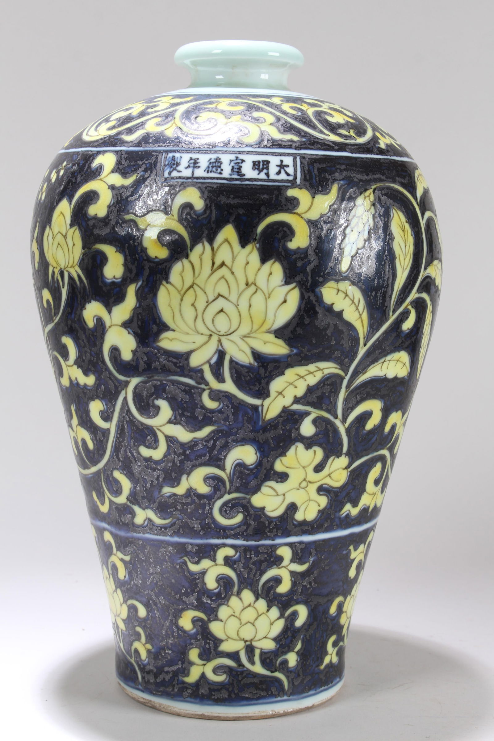A Chinese Black-coding Nature-sceen Fortune Porcelain Vase (1 of 4)