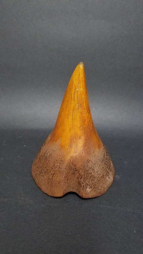 A Horn Kind Hoof Display: A Horn Kind Hoof Display. Length: 4 inchHeight: 4.75 inch