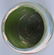 MISSION SWIRL POTTERY BOWLS, NILOAK & MORE - 6