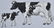 4-DELAVAL TIN ADVERTISING COWS - 2