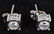 14kt WHITE GOLD 1.1 TCW DIAMOND EARRINGS