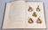 1885- 86 BUREAU OF ETHNOLOGY - INDIAN AFFAIRS BOOK - 5