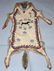 CANADIAN INUIT FULL GRAY WOLF SKIN w/ DECORATION
