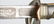 U.S. M 1902 OFFICER'S SWORD & SCABBARD - 6