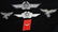 WWII NAZI GERMAN LUFTWAFFE INSIGNIA LOT