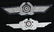 WWII NAZI GERMAN LUFTWAFFE INSIGNIA LOT - 2