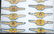 WWII JAPANESE ARMY PILOT WING LOT - 4
