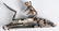 2-FLINT GUN LOCKS - 3