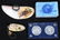 1893 COLUMBIAN EXPOSITION SOUVENIR LOT - 2