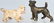 5-HUBLEY CAST IRON DOG PAPERWEIGHTS - 2