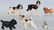 6-HUBLEY CAST IRON DOG PAPERWEIGHTS