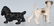 6-HUBLEY CAST IRON DOG PAPERWEIGHTS - 5