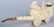 14\" HORSE DRAWN CARRIAGE MEERSCHAUM PIPE ISMAIL - 8