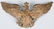 WWI NCO Guard Eagle Spike Helmet Front Plate