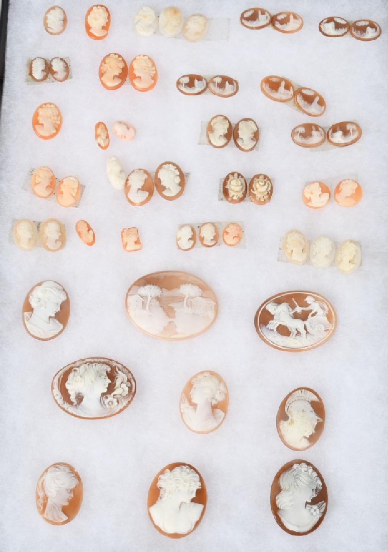 52- NATURAL SHELL CARVED CAMEOS: Beautiful lot of 52 Natural Shell Carved Cameos. Various sizes and variations. Very well carved. Largest measures 1 3/4" Excellent