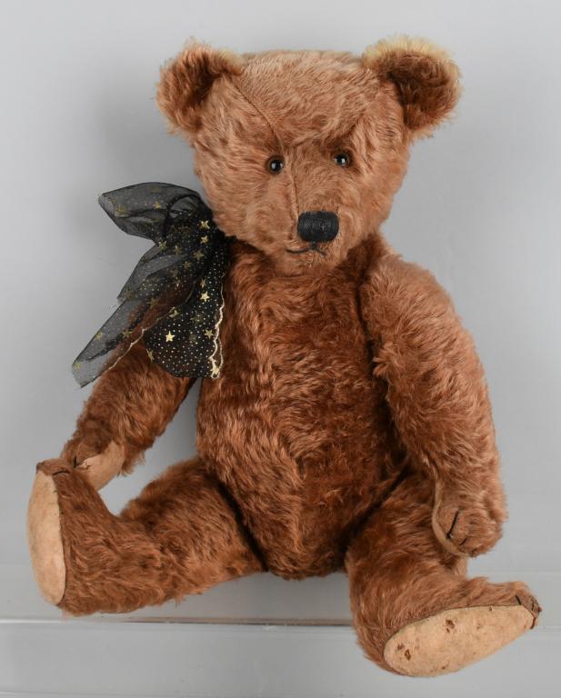 german teddy bear
