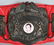 KEN NORTON WORLD CHAMPIONSHIP 1973 BELT VS ALI - 4