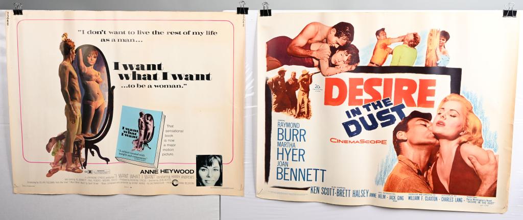 5- US HALF SHEET MOVIE POSTERS: Includes I Want What I Want, Desire In The Dust, A Women Like Satan, Daisy Miller, and Special Delivery. With wear and tears. Very Good-Excellent
