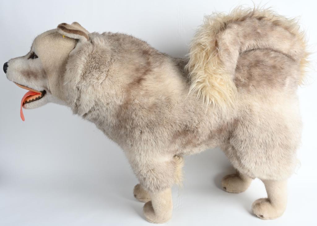 VINTAGE STEIFF STUDIO SIZE STANDING HUSKY DOG: Fabulous life size studio Steiff standing Husky dog. Wonderful original condition with button and flag. The flag number is 4055/65. 35" long by 24" high. Excellent