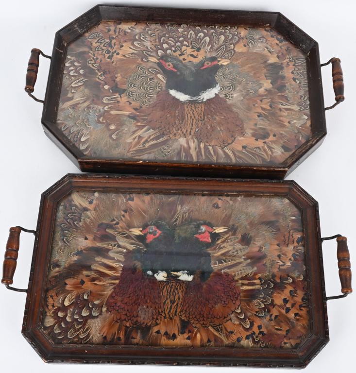 VINTAGE UNIQUE PHEASANT TAXIDERMY SERVING TRAYS (1 of 5)