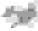 item-105171556=4