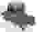 item-105171595=4
