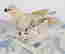 item-120536976=3