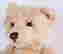 item-120536992=2