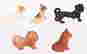 item-120537400=2