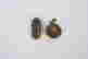 item-131545694=4