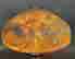 item-135745303=3