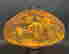 item-135745303=4