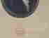 item-135745307=3