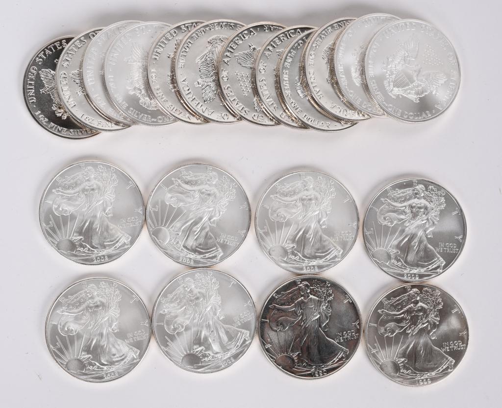 20- US SILVER EAGLES $1 COINS (1 of 1)