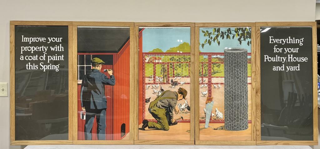 WINCHESTER POULTRY SUPPLIES WINDOW DISPLAY (1 of 8)