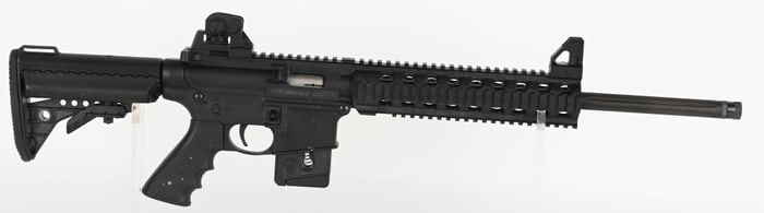 SMITH & WESSON PERFORMANCE CENTER M&P 15-22 .22LR